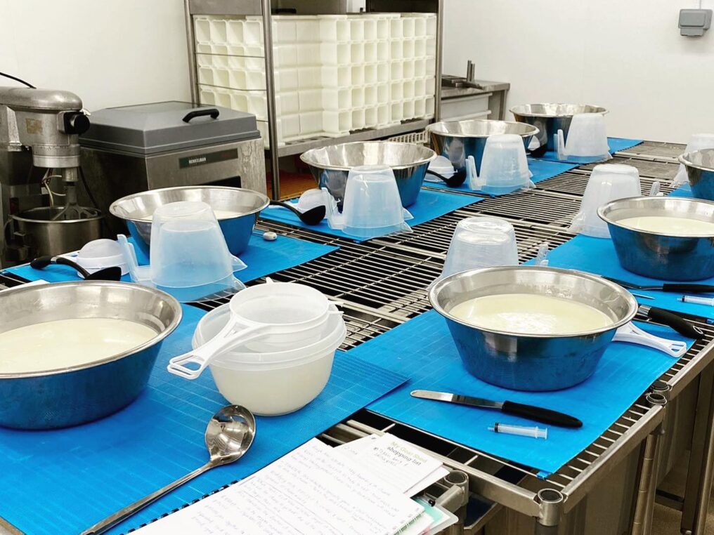 Cheese-Making Course